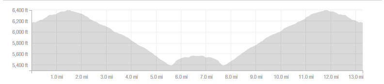 half-marathon-elevation